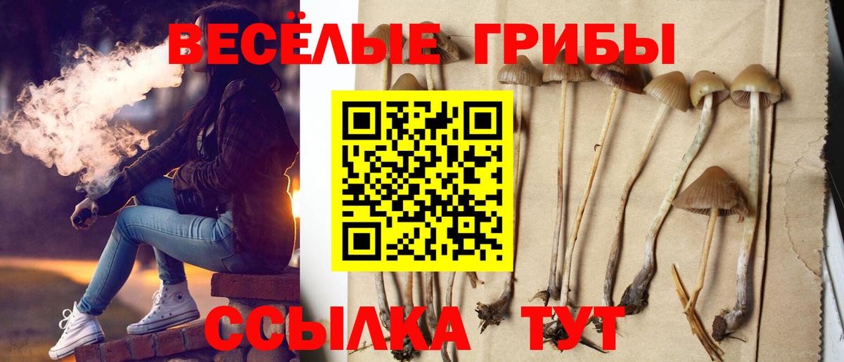 Тюмень  Галлюциногенные грибы мухоморы  где продают   Псилоцибиновые грибы MAGIC MUSHROOMS  Вход с VPN 